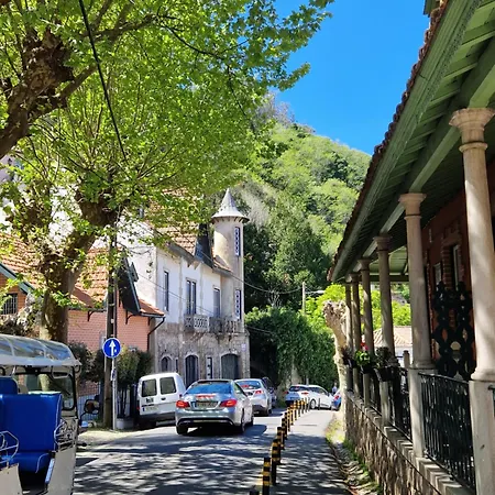Viscount - Private Terrace Apartmán Sintra