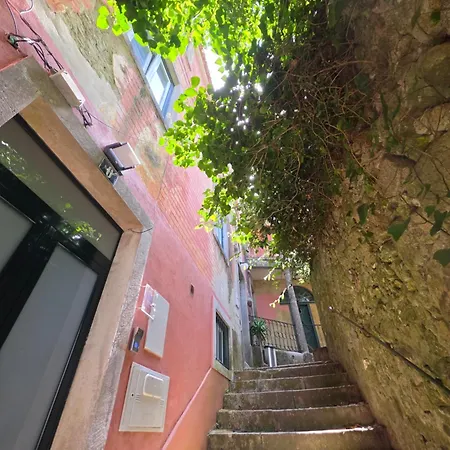 Viscount - Private Terrace